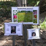Plant Information Signs 