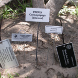 Plant Markers 